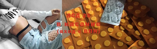 гидра Майский