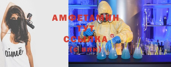 гидра Майский