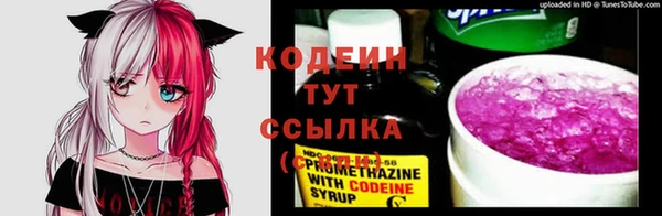 гидра Майский
