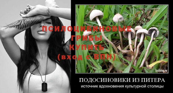 spice Горняк