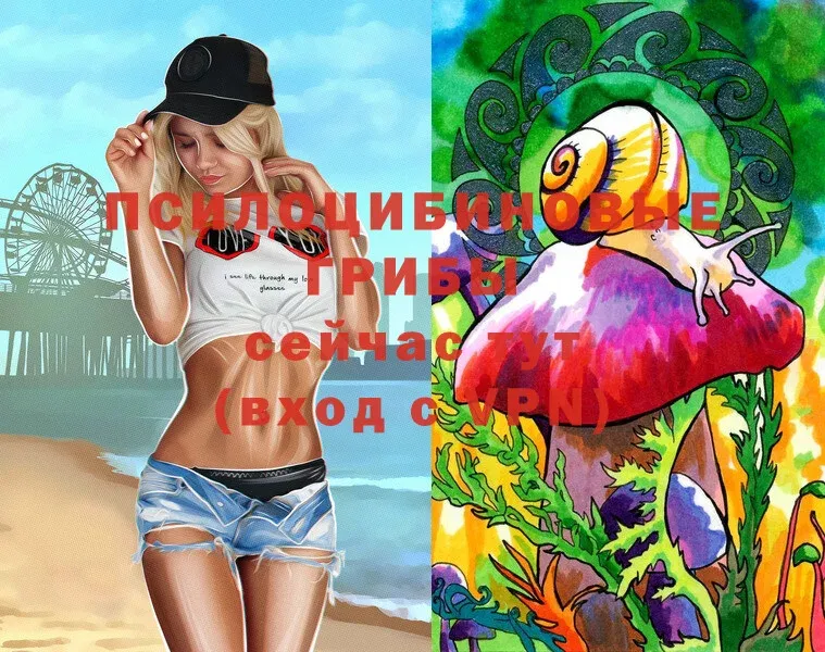 Псилоцибиновые грибы Magic Shrooms  Десногорск 