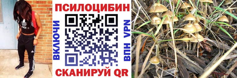 где продают наркотики  Десногорск  Галлюциногенные грибы MAGIC MUSHROOMS 