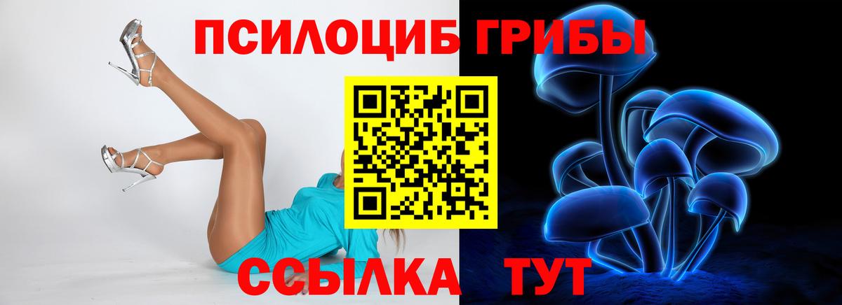 где продают наркотики  Псилоцибиновые грибы ЛСД  Вход с VPN  Десногорск 